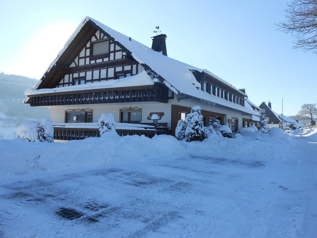 Pension Sonnenblick Винтерберг Екстериор снимка